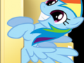 custom_rainbow_dash_folder_icon_by_blues27xx-d4y2el7.png
